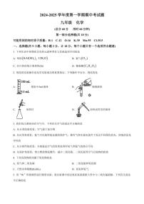 陕西省西安市高新区第一中学2024～2025学年九年级(上)期中化学试卷(含答案)