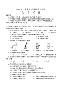 河南省南阳市方城县2024-2025学年九年级上学期期中阶段性调研化学试题