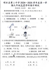黑龙江省绥化市明水县第二中学2024-2025学年九年级上学期11月期中考试化学试题