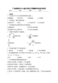 广东省惠州市2025届九年级上学期期中考试化学试卷(含答案)