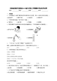河南省洛阳市宜阳县2025届九年级上学期期中考试化学试卷(含答案)