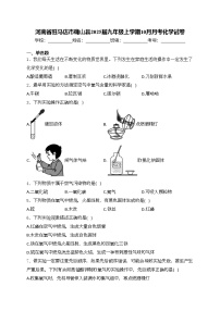 河南省驻马店市确山县2025届九年级上学期10月月考化学试卷(含答案)