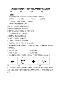 山东省德州市乐陵市2025届九年级上学期期中考试化学试卷(含答案)