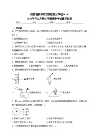 陕西省安康市汉滨区部分学校2024-2025学年九年级上学期期中考试化学试卷(含答案)