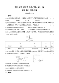 人教版（2024）九年级下册（2024）课题2 常见的酸和碱第2课时课时训练