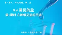 科粤版（2024）九年级下册8.4 常用的盐课堂教学课件ppt