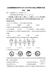 江西省景德镇市乐平市2024-2025学年九年级上学期11月期中考试化学试题