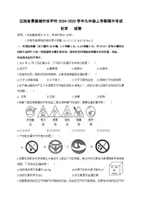 江西省景德镇市乐平市2024-2025学年九年级上学期11月期中考试化学试题