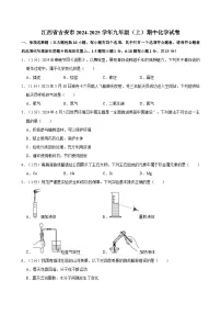 江西省吉安市2024-2025学年九年级上学期期中考试化学试卷