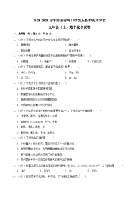 河南省周口市沈丘县中英文学校2024-2025学年上学期九年级期中考试化学试卷