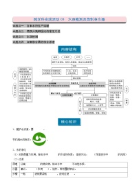 初中人教版（2024）第四单元 自然界的水跨学科实践活动3 水质检测及自制净水器课时作业