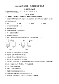 山东省淄博市高青县2024-2025学年九年级上学期期中考试化学试题