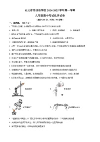 安徽省安庆市外国语学校2024-2025学年九年级上学期11月期中考试化学试题