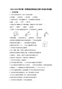 山东省青岛市海信学校2024--2025学年九年级上学期期中考试化学试题