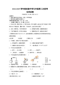 广东省梅州市平远县实验中学2024--2025学年九年级上学期期中考试化学试题