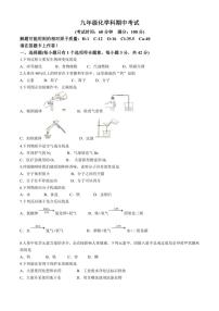 海南省文昌市2024～2025学年九年级(上)期中化学试卷(含答案)