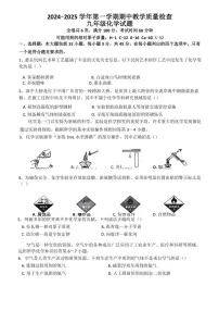 广东省惠州市惠东县2024～2025学年九年级(上)期中化学试卷(含答案)