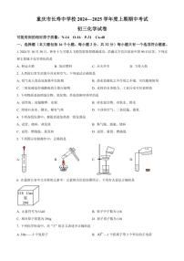 重庆市长寿中学校2024～2025学年九年级(上)期中化学试卷