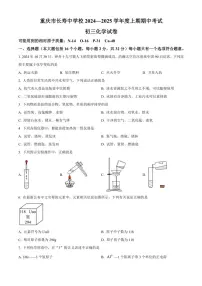 重庆市长寿中学校2024～2025学年九年级(上)期中化学试卷