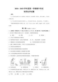 山东省烟台招远市(五四制)2024～2025学年九年级(上)期中化学试卷(含答案)