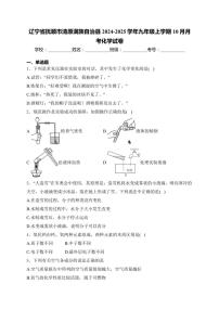 辽宁省抚顺市清原满族自治县2024～2025学年九年级(上)10月月考化学试卷(含答案)