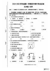 江西省赣州市龙南市2024～2025学年九年级(上)期中化学试卷(含答案)