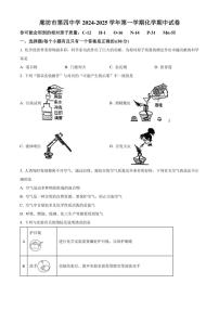 河北省廊坊市第四中学2024～2025学年九年级(上)期中化学试卷(含答案)