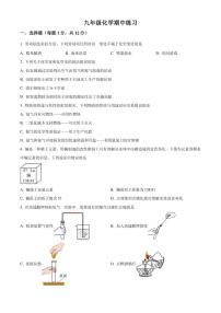 安徽省合肥市第四十五中学2024～2025学年九年级(上)期中测试化学试卷(含答案)