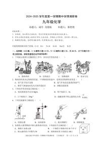 广东省深圳市宝安区七校联考2024-2025学年九年级上学期期中化学试题
