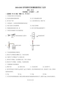 广东省深圳市福田区2024-2025学年九年级上学期期中考试化学试题
