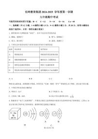 广东省深圳市福田区红岭教育集团2024-2025学年九年级上学期期中考试化学试题