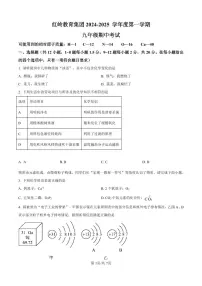 广东省深圳市福田区红岭教育集团2024-2025学年九年级上学期期中考试化学试题