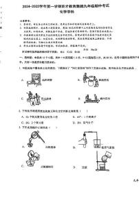 广东省深圳市南山区育才集团2024-2025学年九年级上学期期中考试化学试题