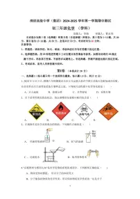 广东省深圳市深圳高级中学（集团）2024--2025学年九年级上学期期中测试化学试题