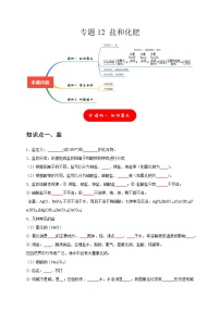 专题一2  盐和化肥（讲义+练习）-  【考点精讲】最新中考化学复习考点一遍过（全国通用）