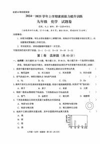 云南省昭通市绥江县2024-2025学年九年级上学期11月期中化学试题