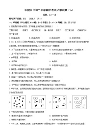 江西省宜春市丰城市第九中学2024--2025学年八年级上学期期中考试化学试题（A卷）