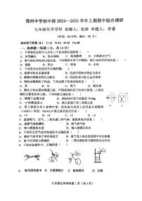 河南省郑州市郑州中学初中部2024-2025学年九年级上学期期中考试化学试卷+