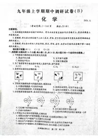 河南省林州市2024-2025学年九年级上学期期中考试化学试卷