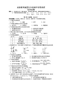 江苏省镇江市丹阳市华南实验学校集团2024-2025学年九年级上学期期中化学试卷