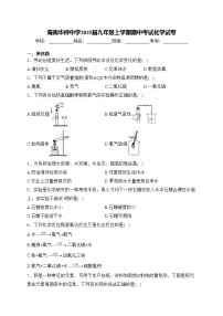海南华侨中学2025届九年级上学期期中考试化学试卷(含答案)