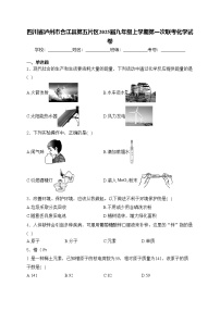 四川省泸州市合江县第五片区2025届九年级上学期第一次联考化学试卷(含答案)