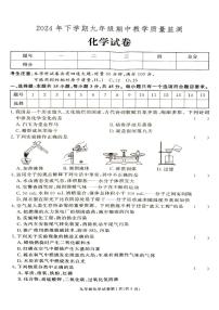 湖南省张家界市桑植县2024-2025学年九年级上学期化学期中考试试卷