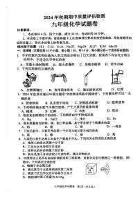 南阳市2024-2025学年九年级上学期期中化学试题及参考答案