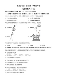 贵州省遵义市2024-2025学年九年级上学期11月期中考试化学试题