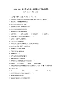 黑龙江省海伦市丰山丰荣中学2023-2024学年九年级上学期期末考试化学试卷