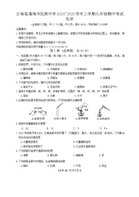 云南省曲靖市民族中学2024~2025学年九年级上学期期中考试化学试卷