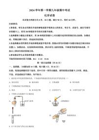 广东省仲元中学2024～2025学年九年级(上)期中化学试卷(含答案)