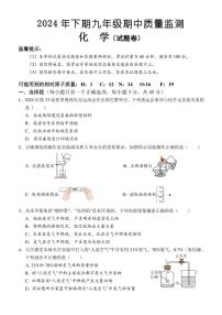 湖南省怀化市通道县2024～2025学年九年级(上)期中化学试卷(含答案)