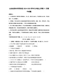 2024-2025学年山东省滨州市阳信县九年级(上)11月期中化学试卷